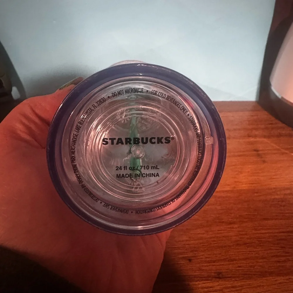Disney World Starbucks Park Icons Venti 24 oz Acrylic Cold Tumbler Cup 2017